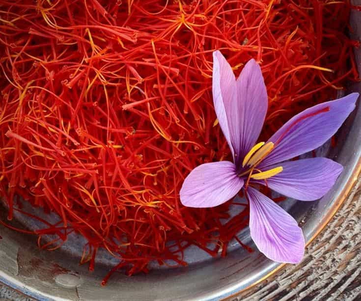 تصویر 3 از خرید زعفران نگین + قیمت فروش استثنایی